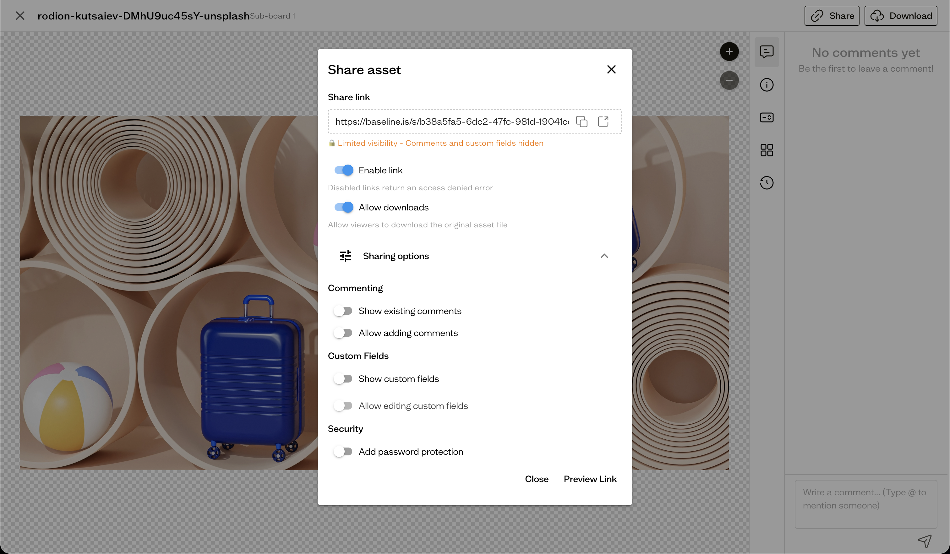 Share link permission toggles